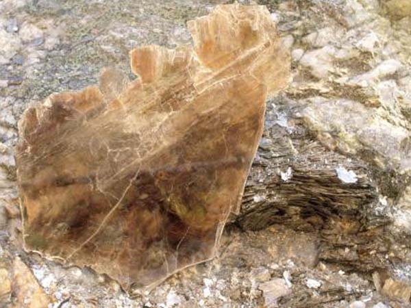 云母含鐵愈高時,顏色愈深,同時多色性和吸收性增強